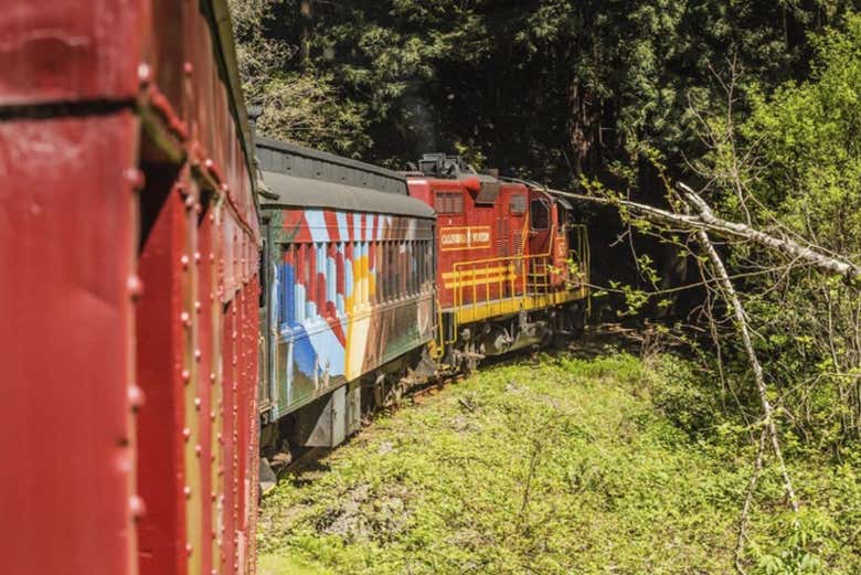 Tren Pudding Creek Express