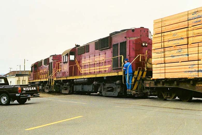 Tren Pudding Creek Express