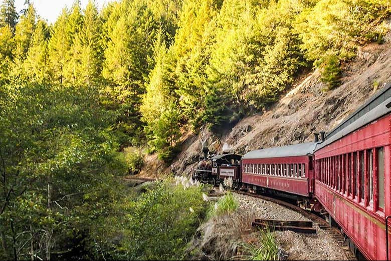 Tren Pudding Creek Express