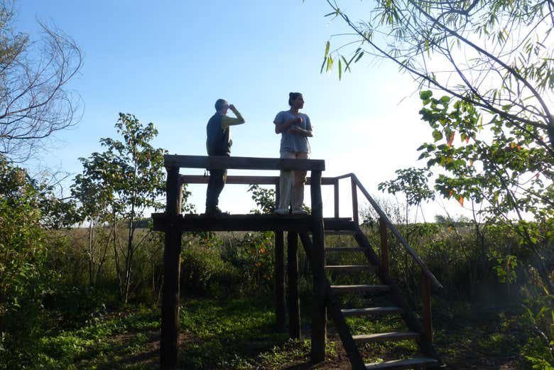 Excursión privada a los Esteros del Iberá
