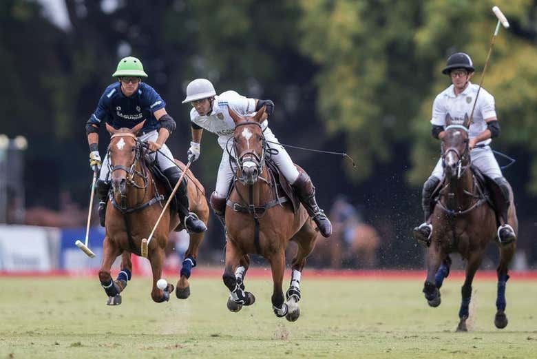 Partido de polo en Buenos Aires con guía local