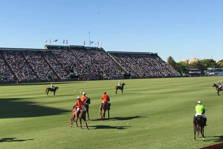 Partido de polo en Buenos Aires con guía local