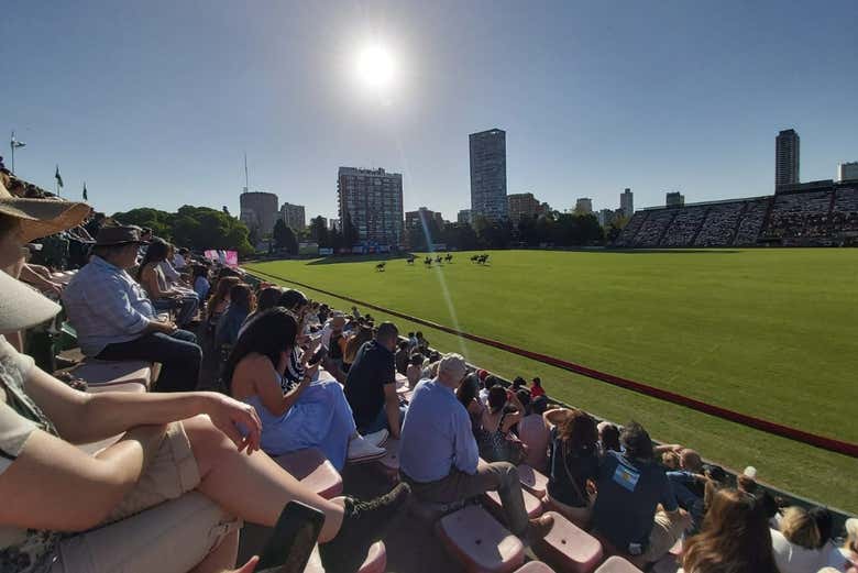 Partido de polo en Buenos Aires con guía local