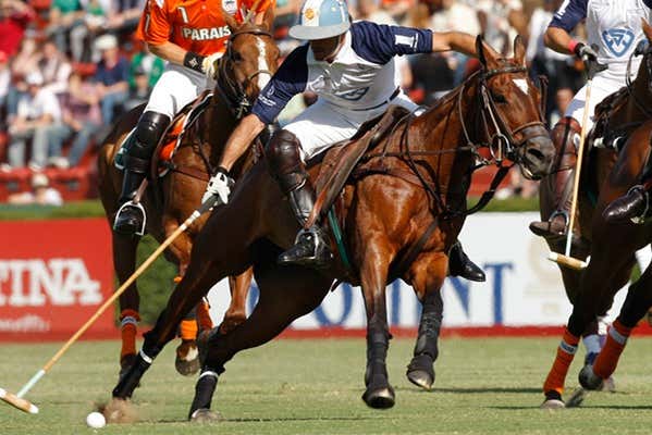 Partido de polo en Buenos Aires con guía local