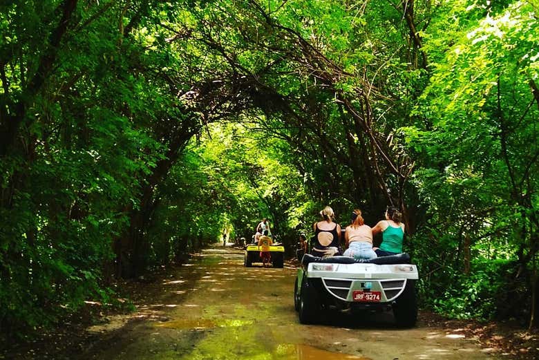 Tour en buggy por Maragogi y São Miguel dos Milagres