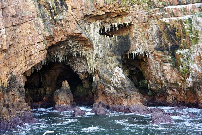 Avistamiento de delfines en Knysna
