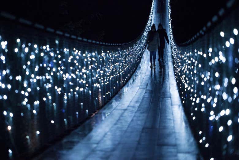 Tour navideño por Vancouver