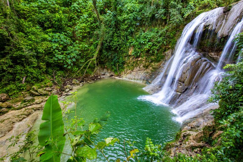 Excursión a las cascadas de Gozalandia
