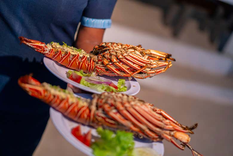 Paseo en catamarán al atardecer con cena