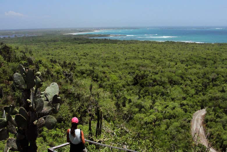 Tour por los humedales de Isla Isabela