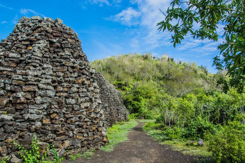 Tour por los humedales de Isla Isabela
