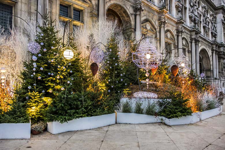 Tour navideño por París