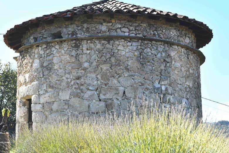 Visita a la bodega Casa Moreiras