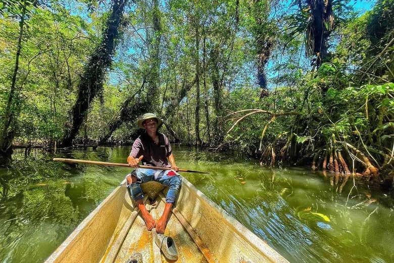 Paseo en lancha por los manglares de Bahía Málaga