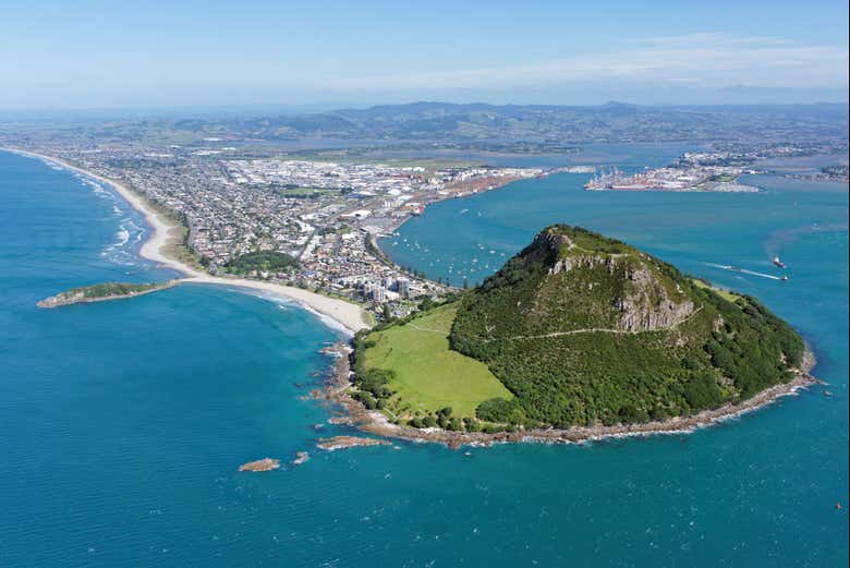 Paseo en barco por Tauranga
