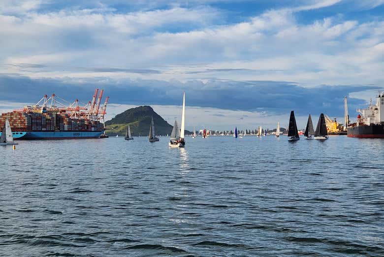 Paseo en barco por Tauranga