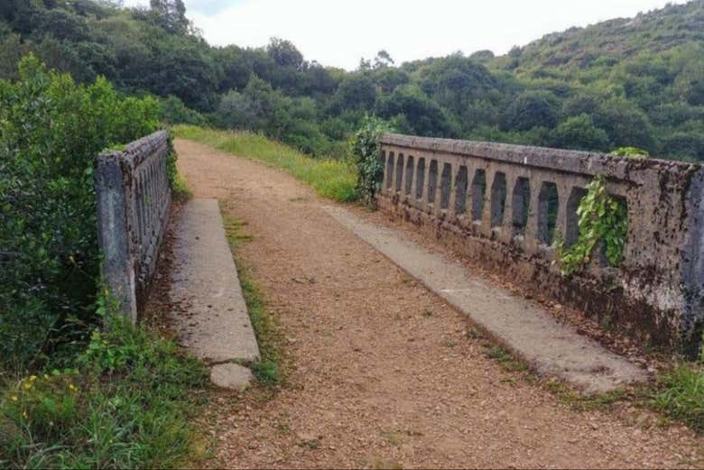 Tour en bicicleta por la Vía Verde de la Gándara