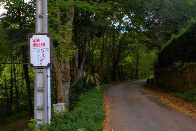 Tour en bicicleta por la Vía Verde de la Gándara