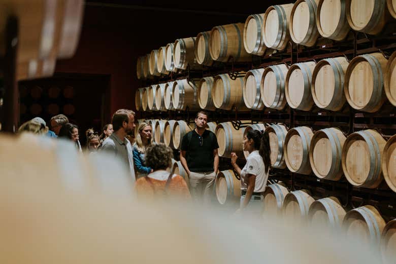 Visita a la Finca Villacreces