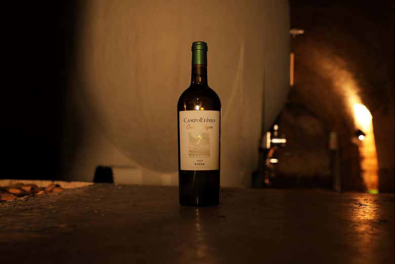 Visita a las Bodegas Campo Elíseo