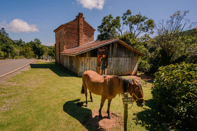 Tour de la inmigración italiana por Gramado y Linha Nova - Galería 1