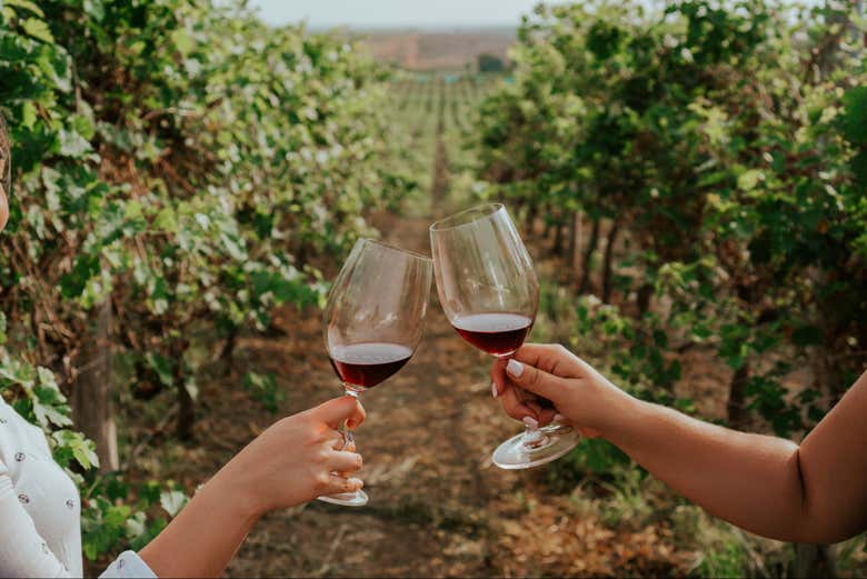 Visita a la bodega Dos Hemisferios