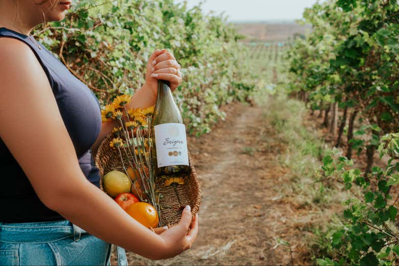 Visita a la bodega Dos Hemisferios