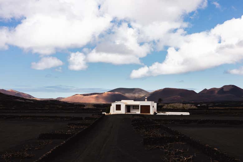 Senderismo por los viñedos del volcán Guardilama + Cata en las Bodegas Rubicón