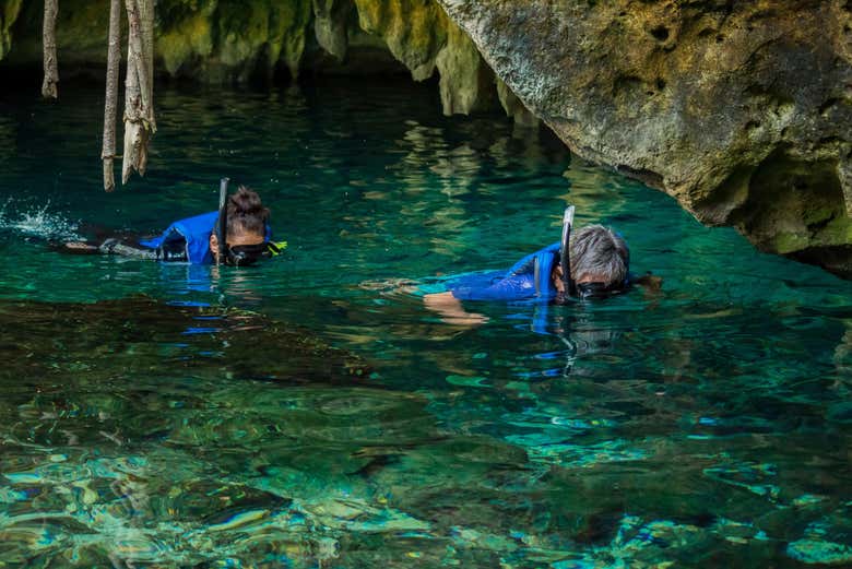Snorkel en un cenote de Mérida