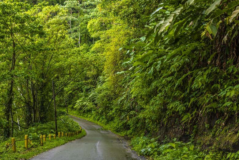 Excursión a la playa Maracas