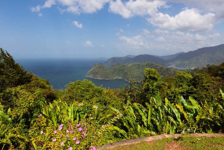 Excursión a la playa Maracas