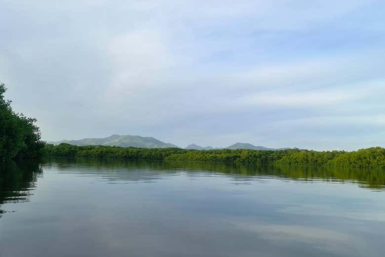 Tour por el santuario de aves Caroni