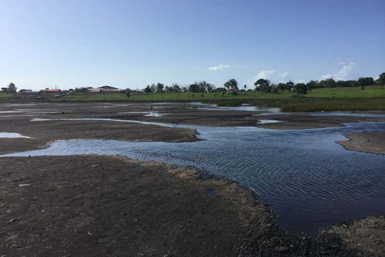 Excursión al templo sobre el Mar y el lago de la Brea