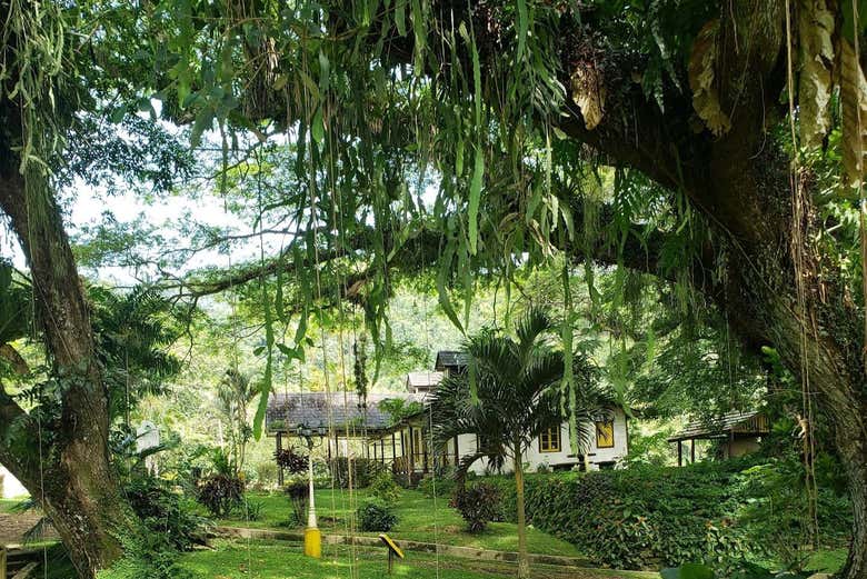 Excursión a Lopinot