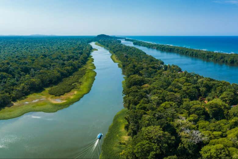 Tour en canoa por el Parque Nacional Tortuguero