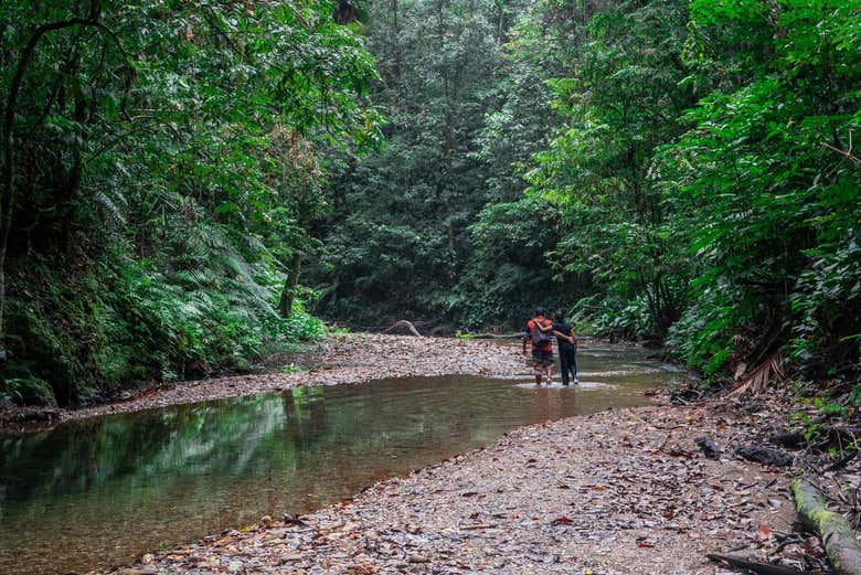 Excursión a las cascadas Avocat y la playa Maracas