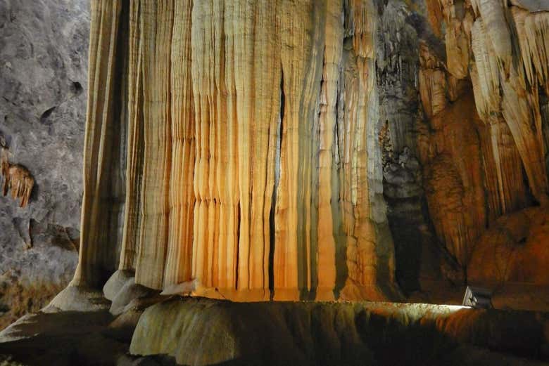 Excursión a Dark Cave y Paradise Cave