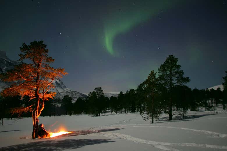 Tour de la aurora boreal por Bodø