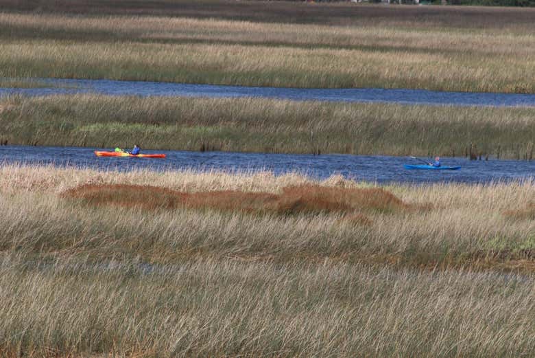 Tour en kayak por el río Valdivia