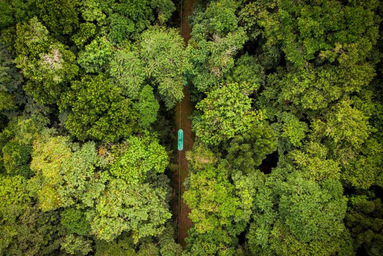 Excursión al parque de aventura Rainforest Santa Lucía