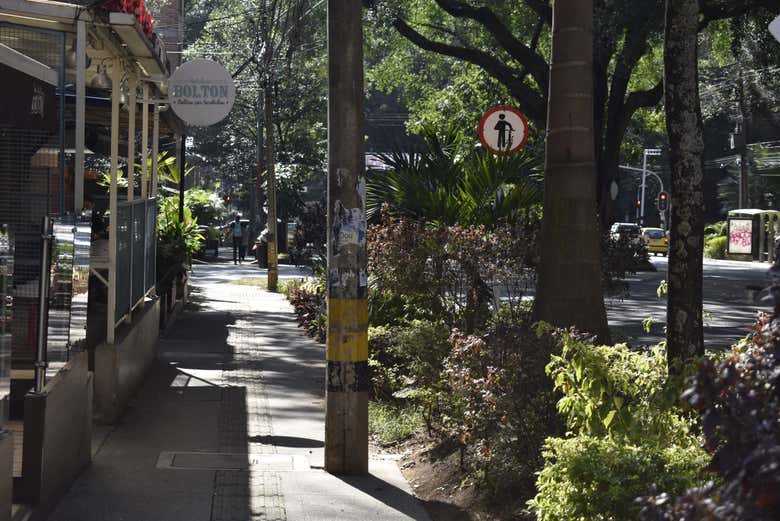 Free tour por Los Laureles