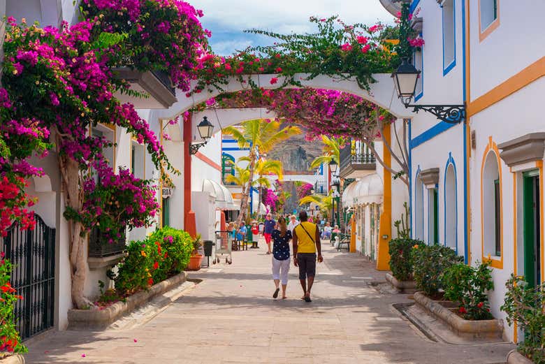 Excursión a Puerto de Mogán y su mercadillo