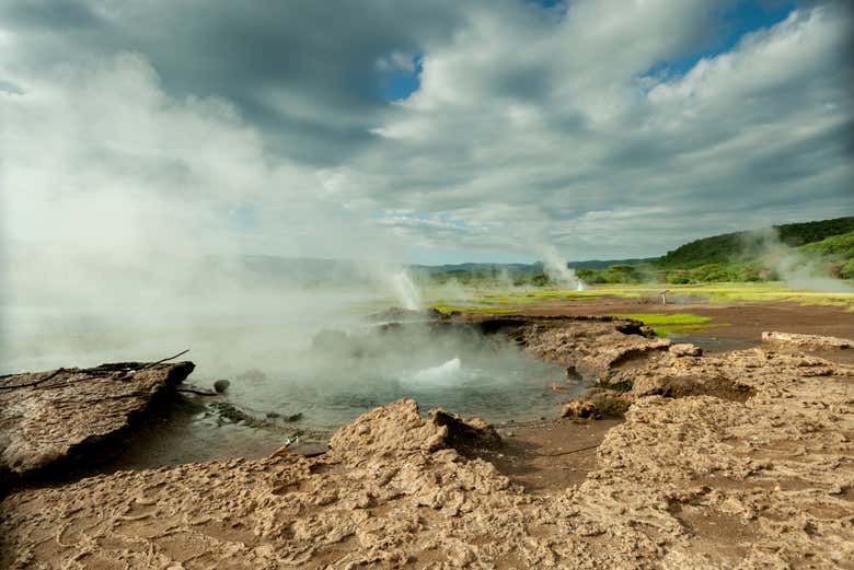 Excursión privada de 2 días al Lago Bogoria