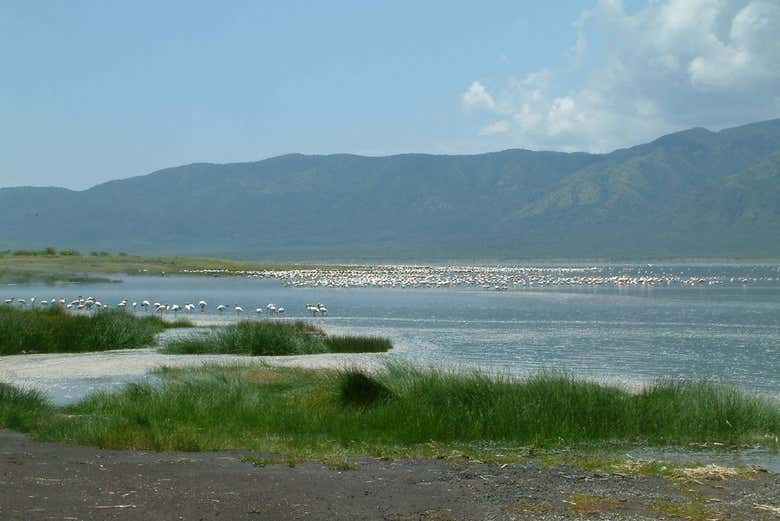 Excursión privada de 2 días al Lago Bogoria
