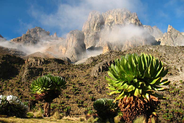 Ruta privada de trekking por el Monte Kenia