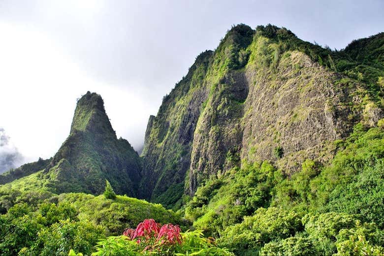 Excursión a Maui en avión