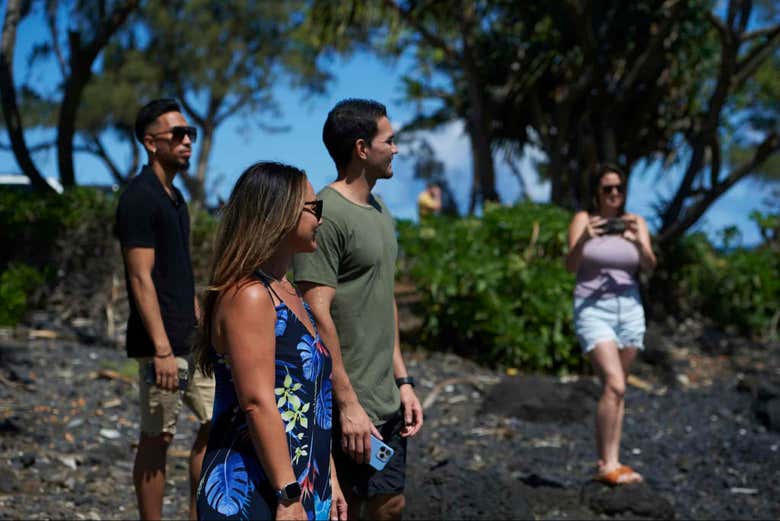 Excursión a Maui en avión - Galería 1