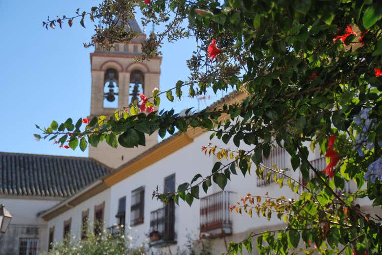 Free tour por Marchena