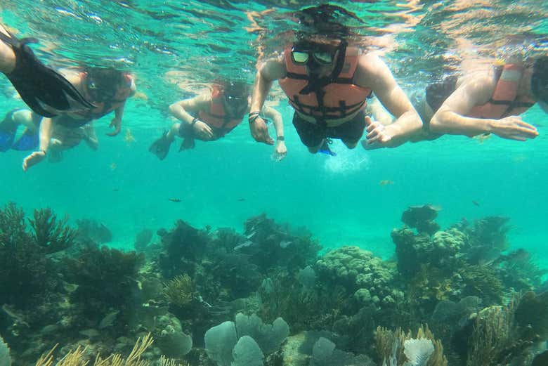 Snorkel en Mahahual
