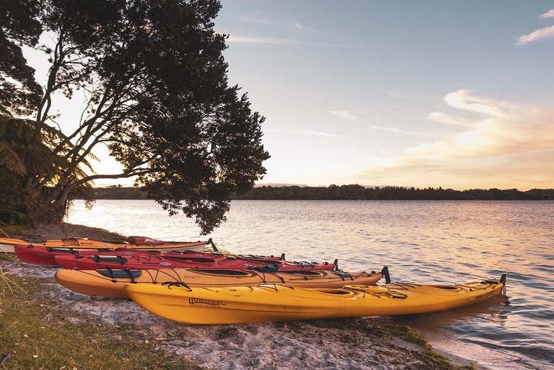 Tour en kayak por el lago McLaren